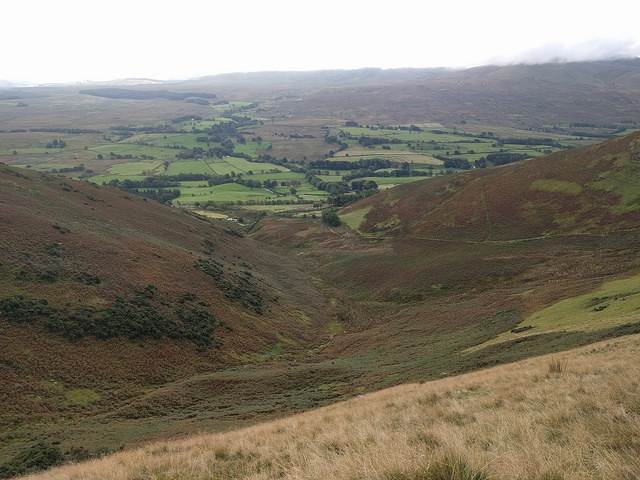 37382083796_eef15d4a70_z